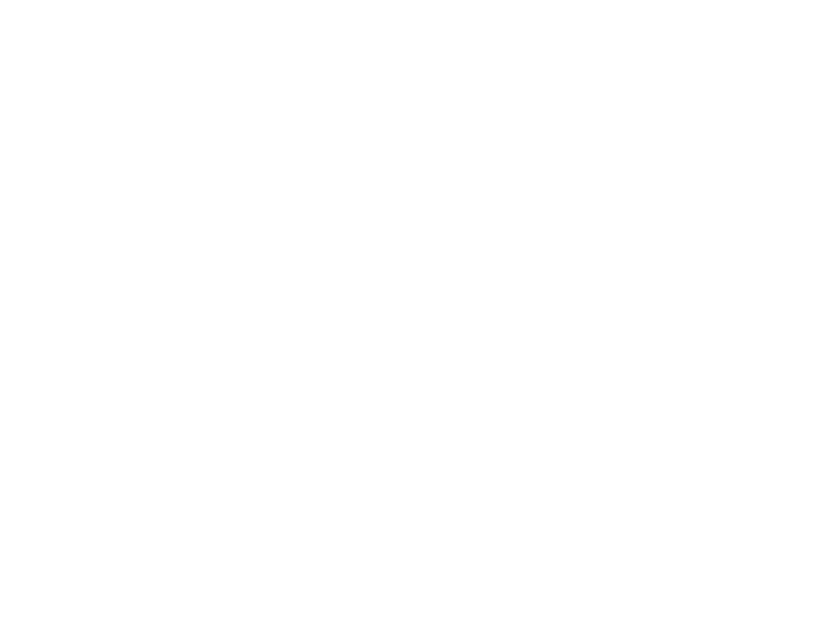 STEP4 Receive your Translation