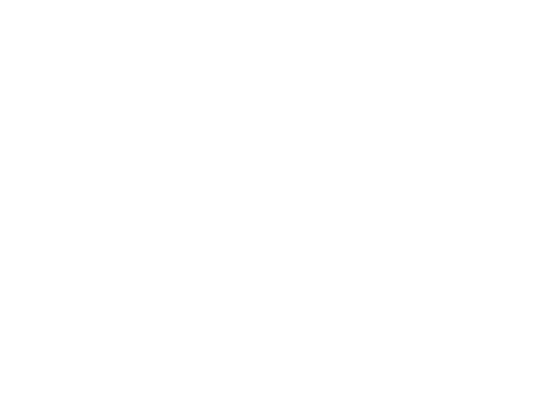 STEP2 オプションを選択